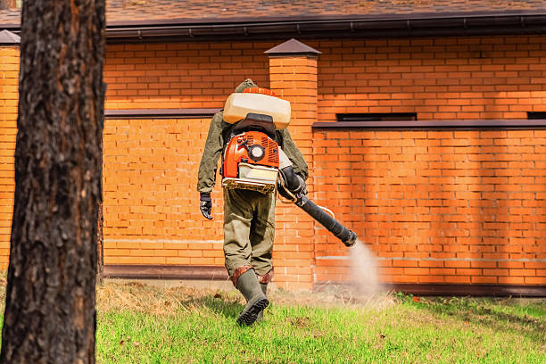 Trusted Bed Bug Control service in Langhorne Manor, PA - Nex Pest Control